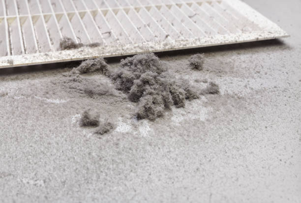 Best Ventilation Cleaning Services  in Fort Stewart, GA