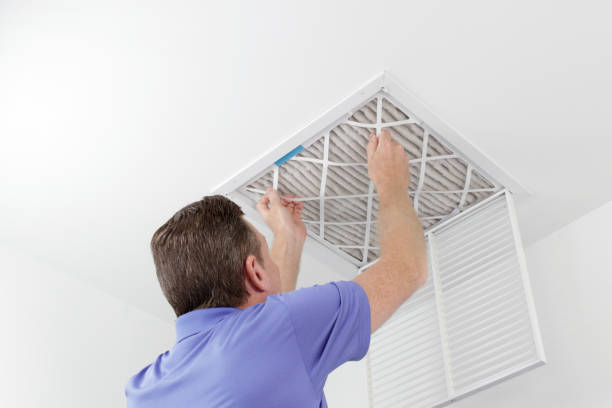 Air Duct Mold Removal in Fort Stewart, GA